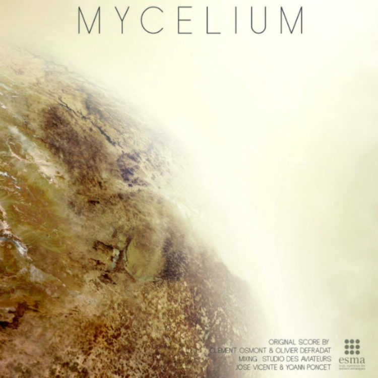 Mycelium