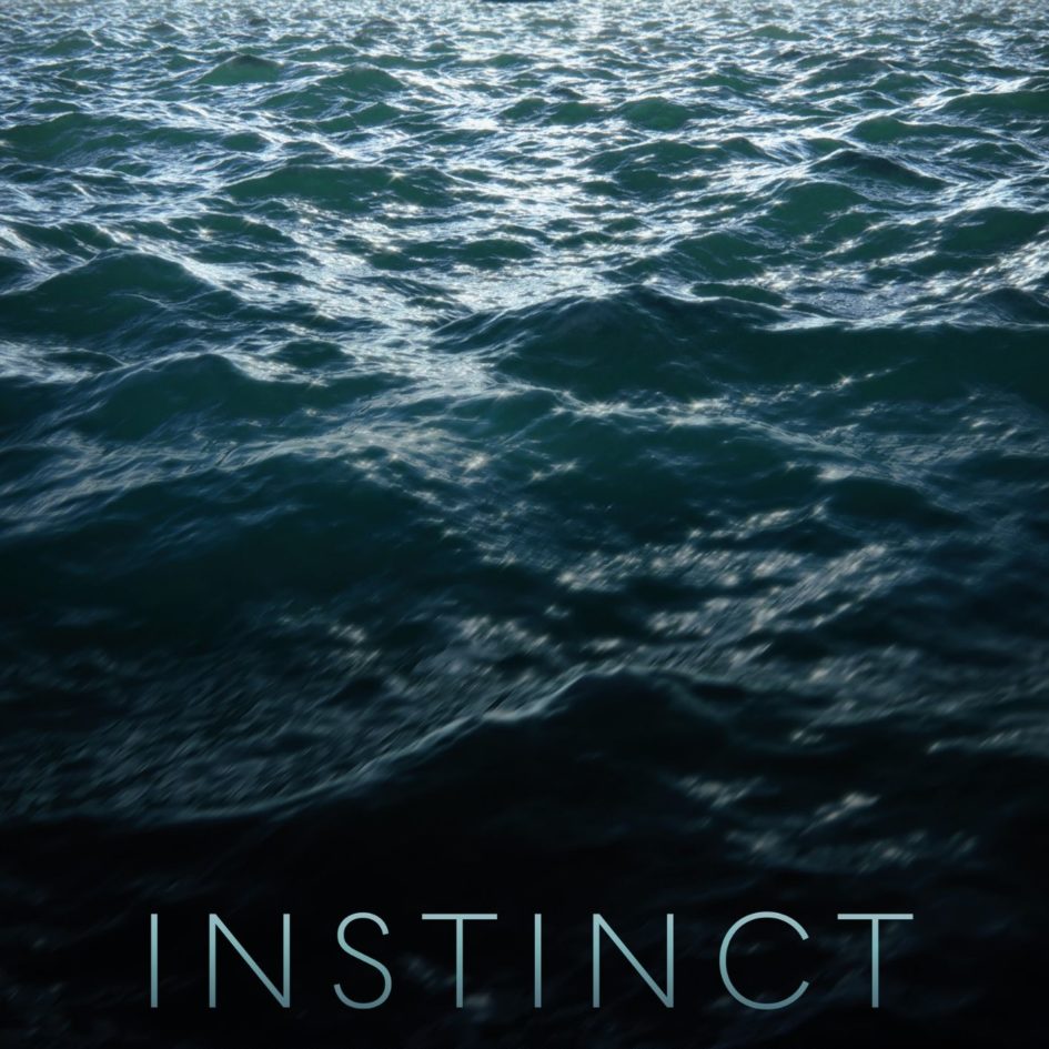 Instinct affiche